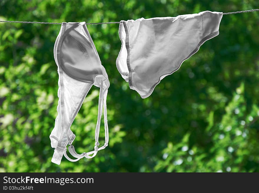 Panties and bra drying on green background