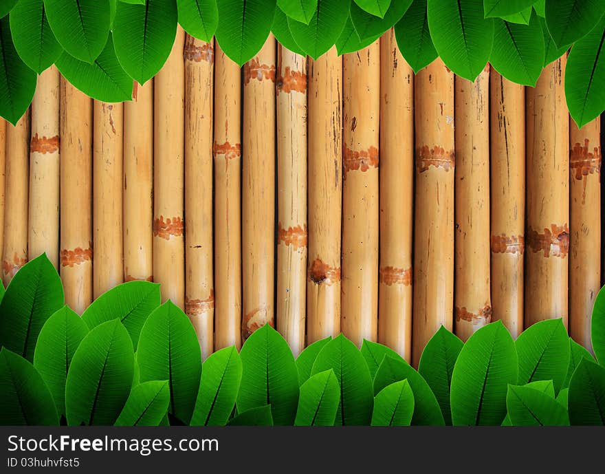 Leave of plant on bamboo background for presentation. Leave of plant on bamboo background for presentation.