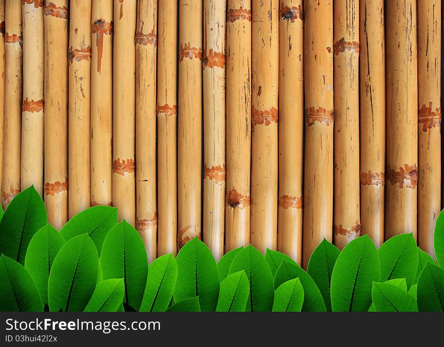 Leave of plant  on bamboo background