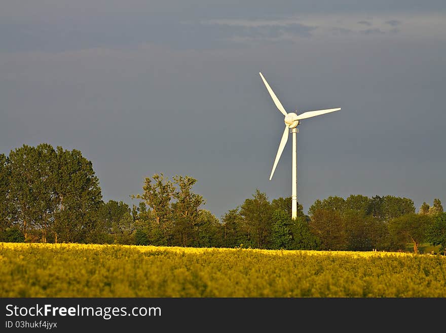 Windmill