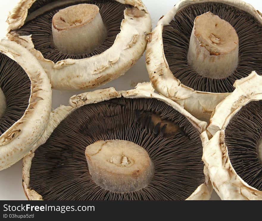 Large flat mushrooms