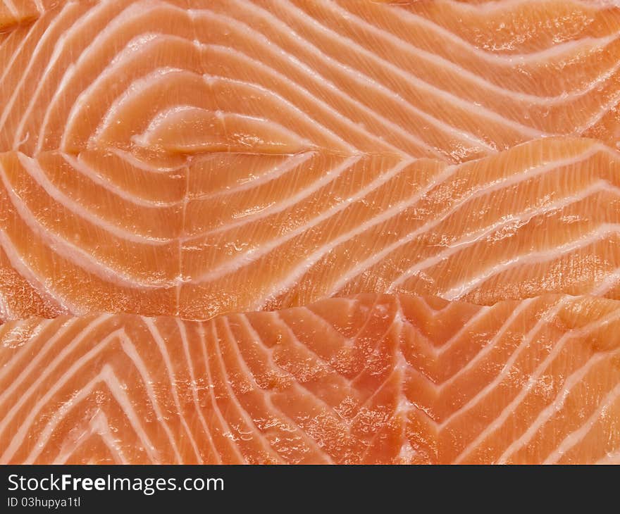 Salmon Background