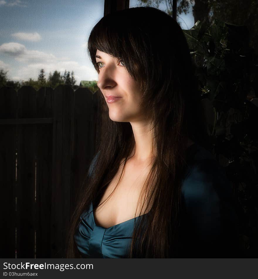 Portrait of brunette woman in blue dress. Portrait of brunette woman in blue dress