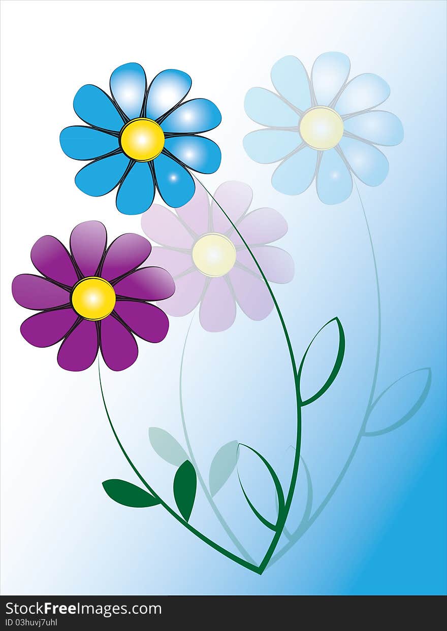 Bouquet of delicate daisies- illustration