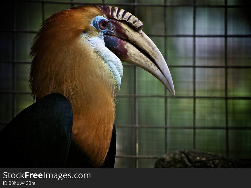 Bird Watching at Zoo Park