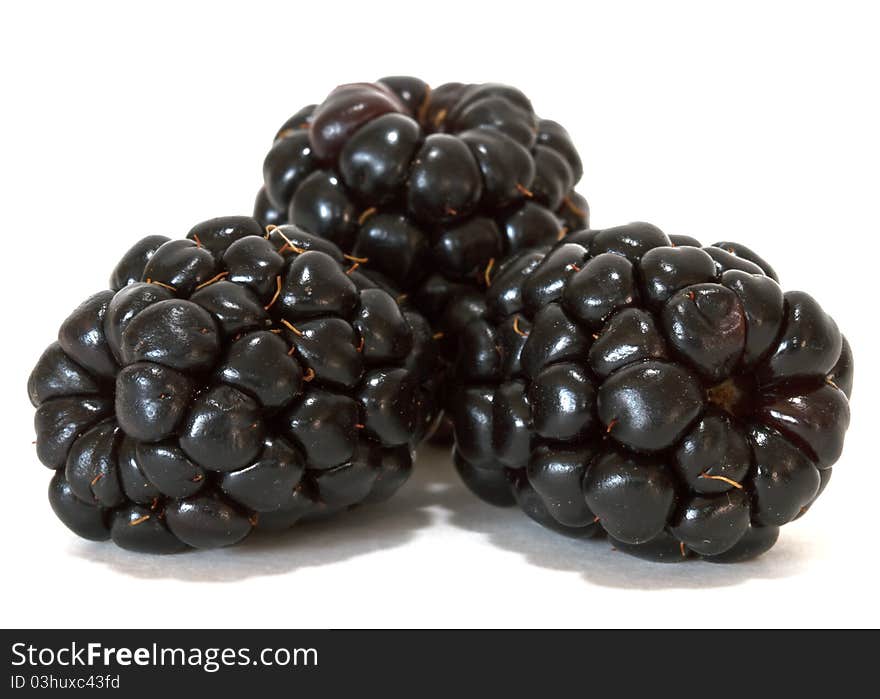 Blackberries isolated over white background