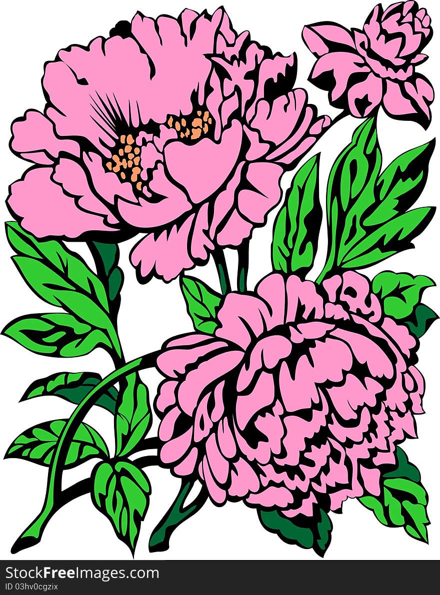 Peony