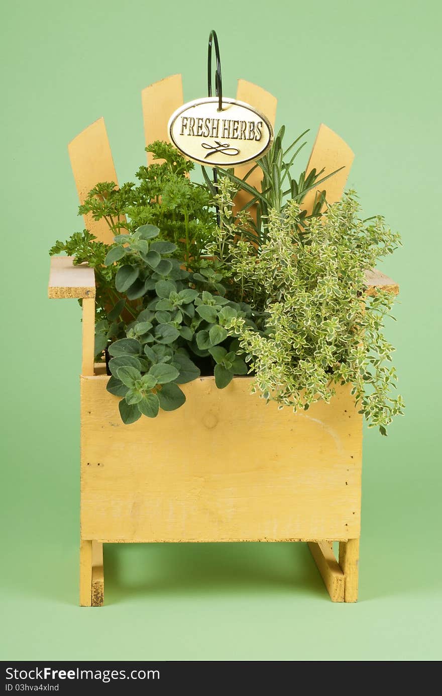 Fresh Mixed Herbs in a Wood Planter