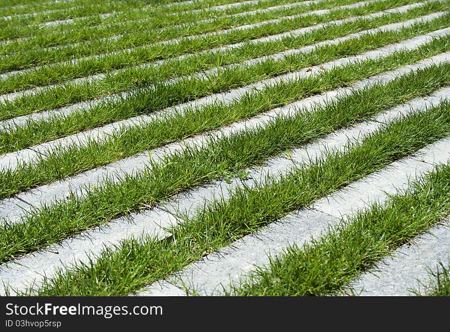 Grass and pavement diagonal stripes, raw. Grass and pavement diagonal stripes, raw