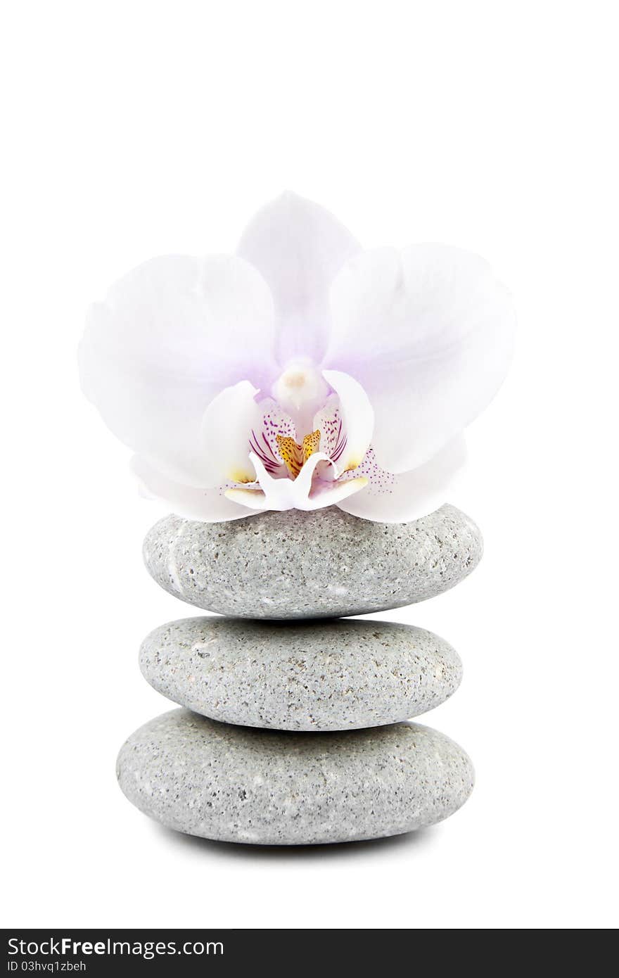 Orchid and stones on white background