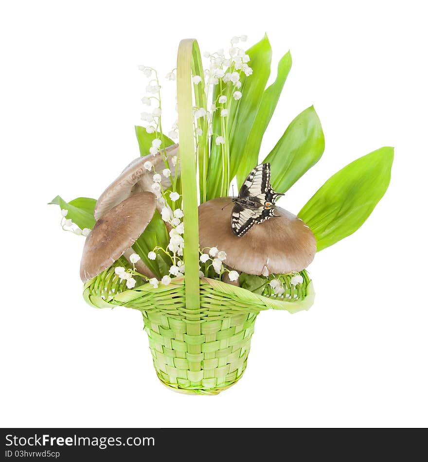 Bouquet Of Lilies Of The Valley, And Mushrooms