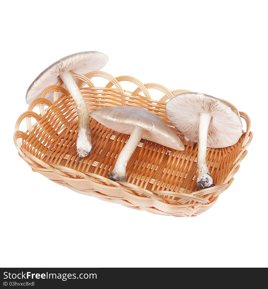 Mushrooms in wicker basket