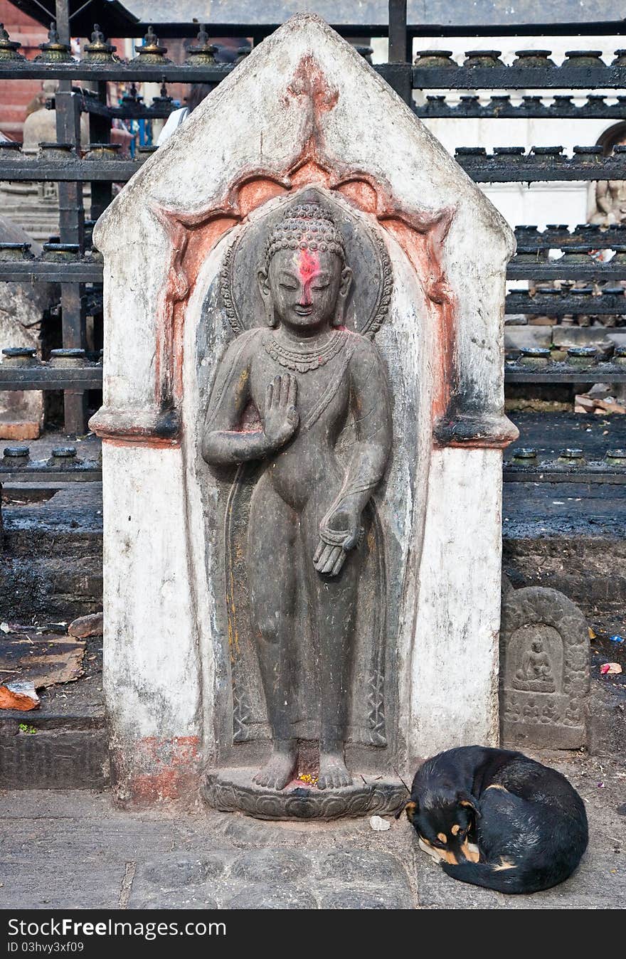 Dog sleeping under a ancient statue at Swayambhunath, Kathmandu, Nepal. Dog sleeping under a ancient statue at Swayambhunath, Kathmandu, Nepal