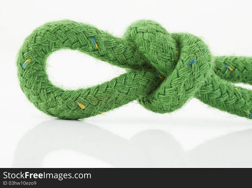 A burl in a green rope on white background