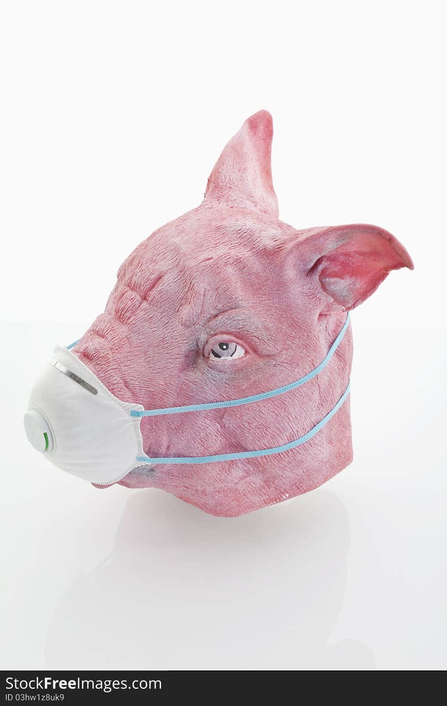 Swine-flu