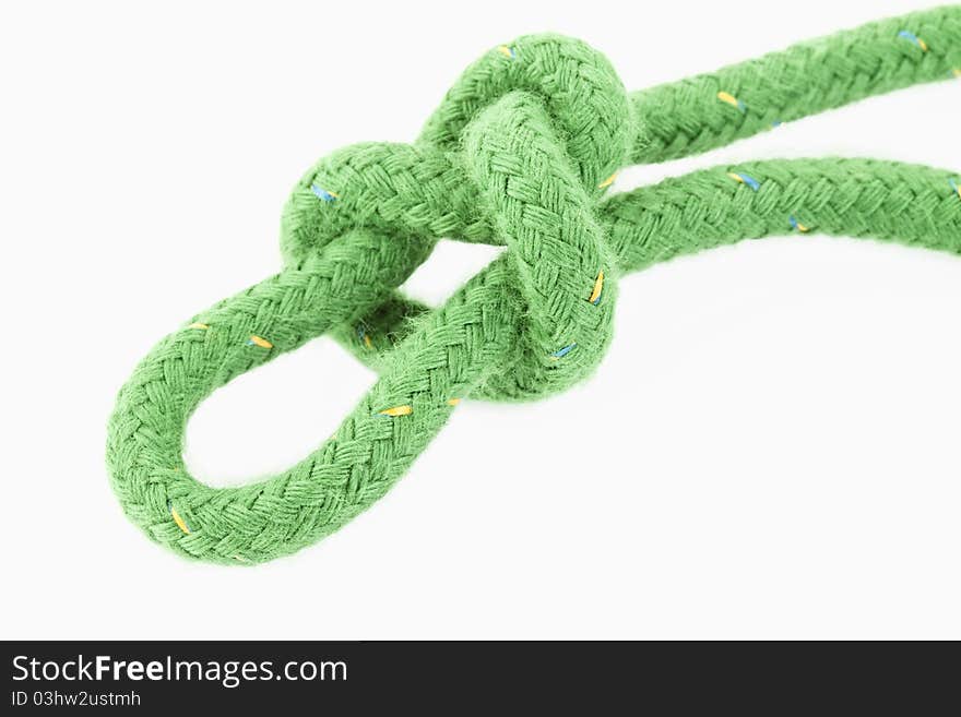 A burl in a green rope on white background