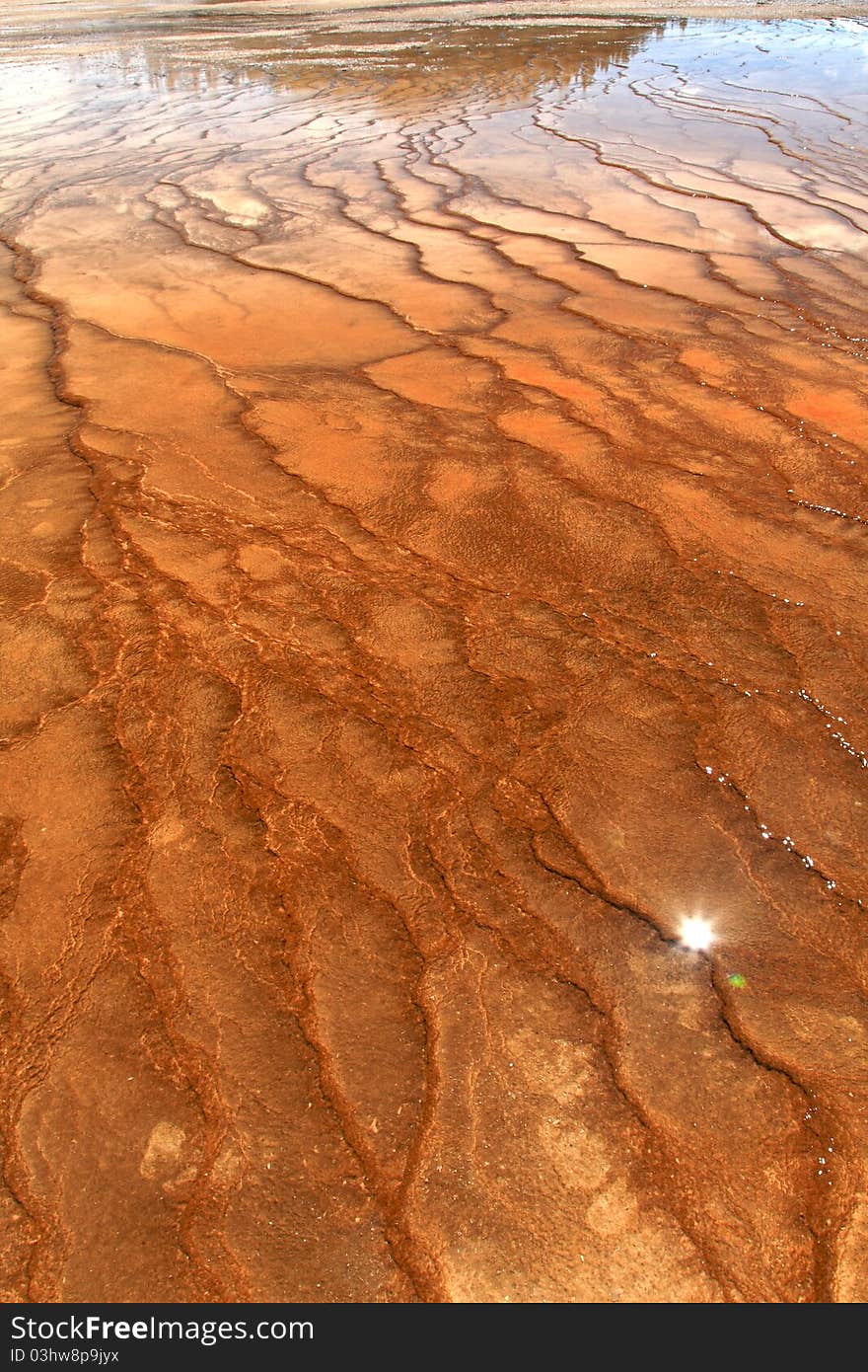 Patterns in colorful flats of  Hot Spring in Yellowstone National Park, Wyoming.USA. Patterns in colorful flats of  Hot Spring in Yellowstone National Park, Wyoming.USA