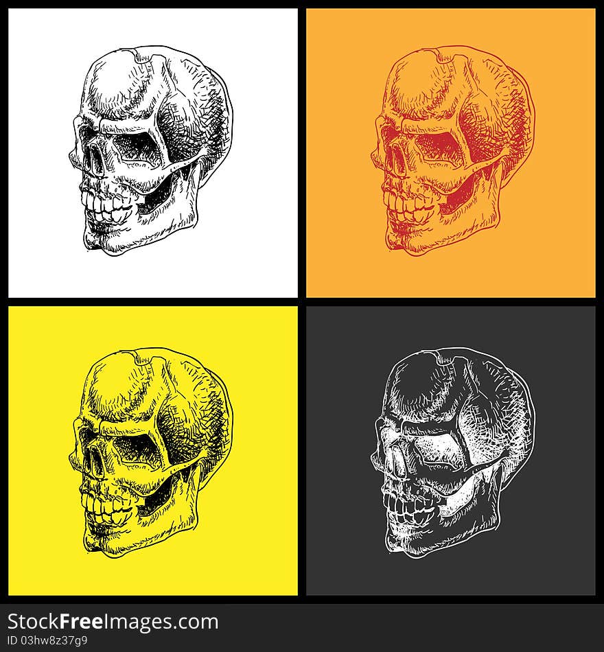 Set of doodle skulls. Hand drawn. Vector element for your design.