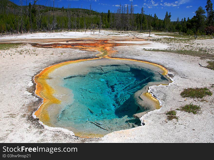 Biscuit Basin Spring Scenic Area in South Yellowstone National Park.