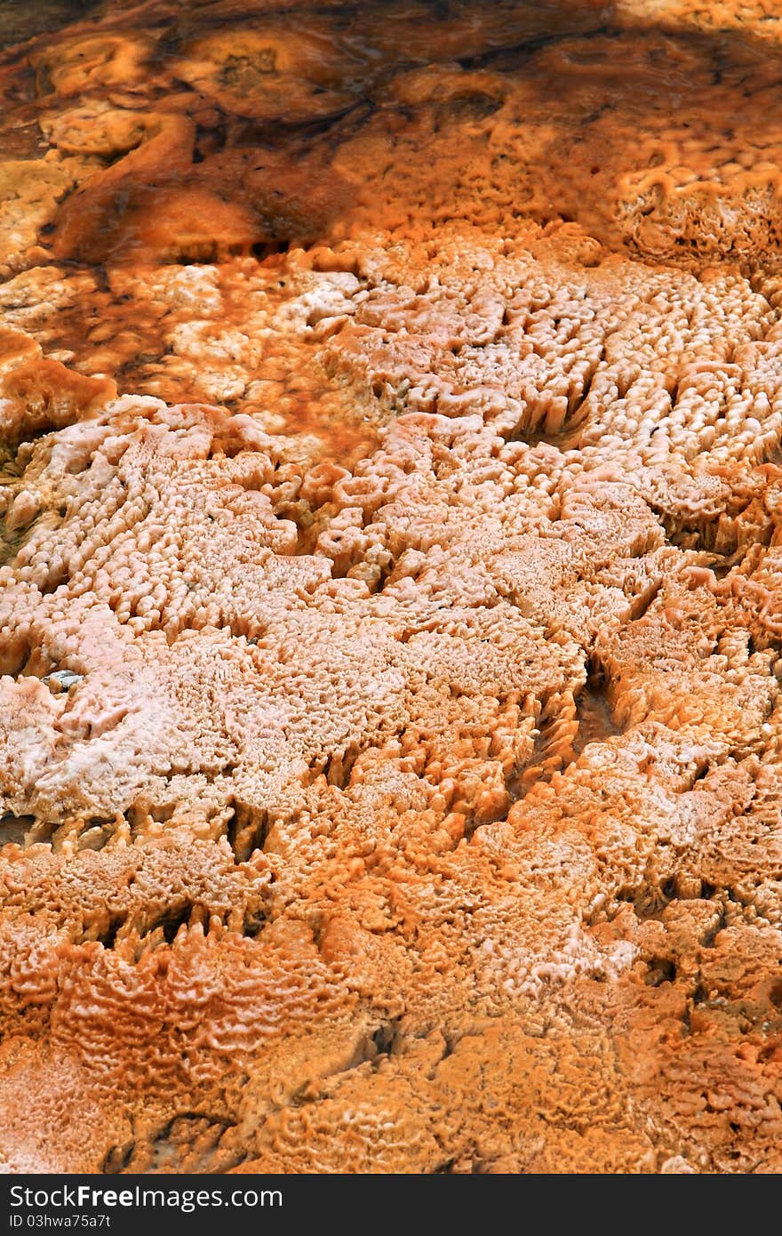 Patterns in colorful flats of Hot Spring in Yellowstone National Park, Wyoming.USA. Patterns in colorful flats of Hot Spring in Yellowstone National Park, Wyoming.USA