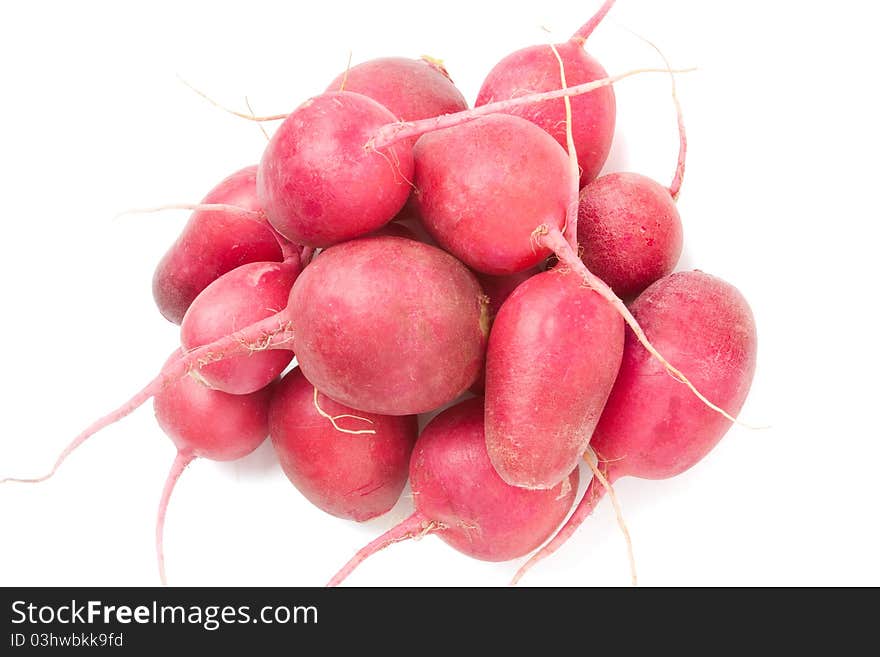 Radish