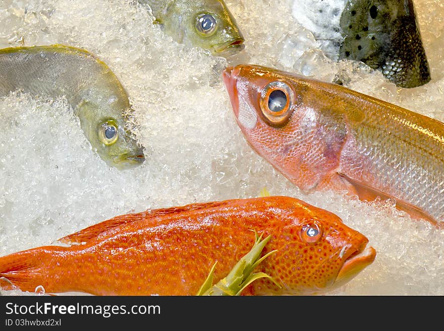 Fresh fish on ice decorated for sale at market