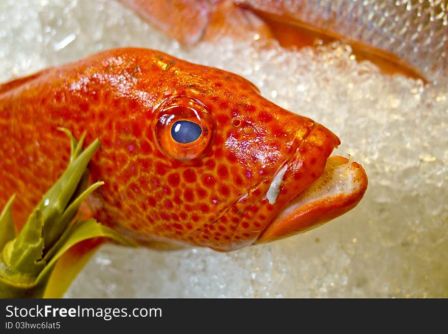 Fresh fish on ice decorated for sale at market