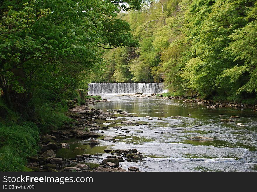 Almond Falls