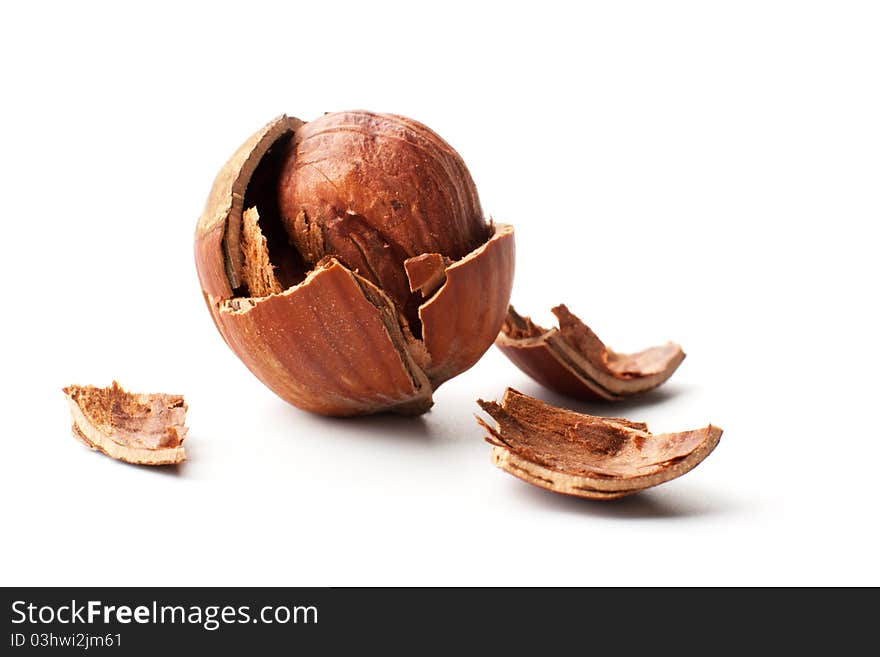 Cracked Hazelnut on white background with shadow. Cracked Hazelnut on white background with shadow