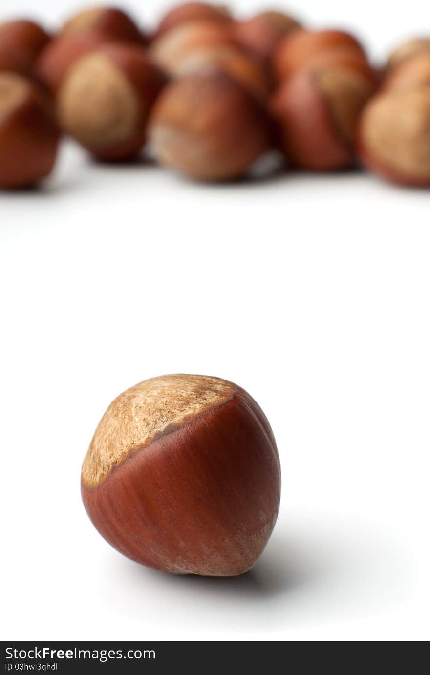 Macro picture of the hazelnut in white background