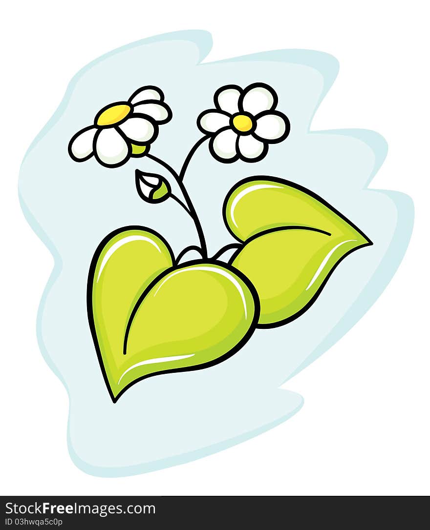 Beautiful flower a camomile for your design. Beautiful flower a camomile for your design.