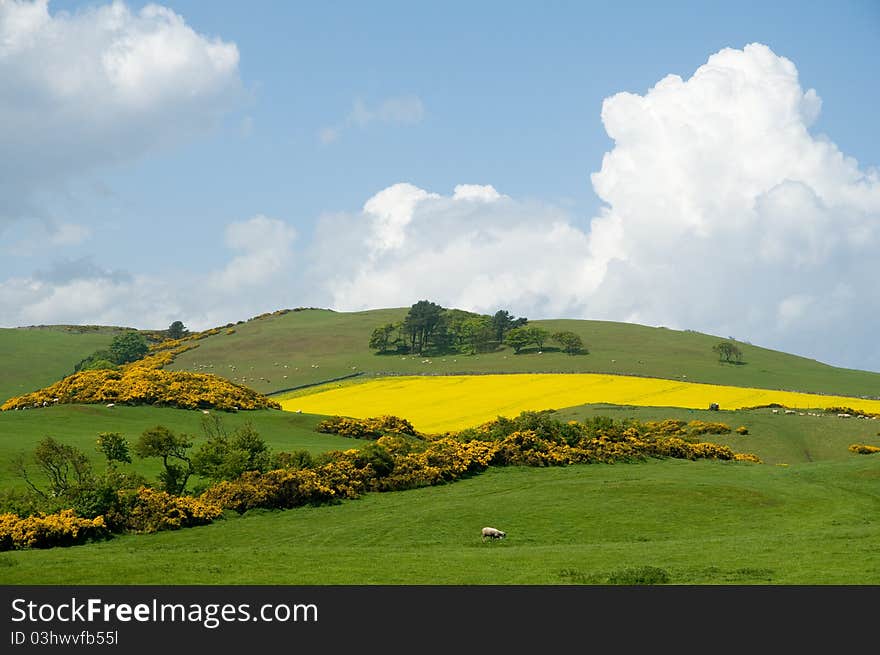 Scottish hills in the spring