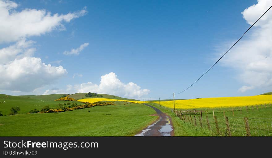 The quiet scottish road