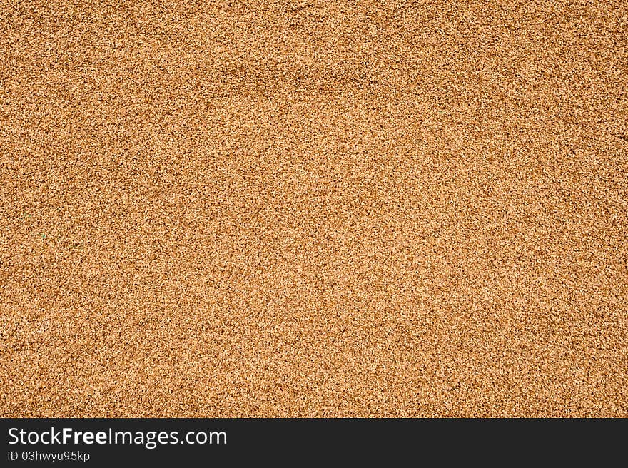 Sesame seeds dry on a tarp at a spice and dry goods shop in Nazareth, Israel.