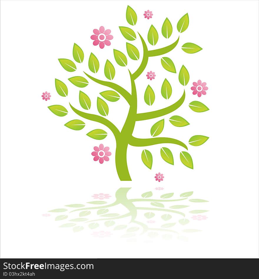 Green tree with flowers isolated on white