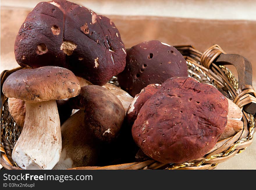 Basket full of mushrooms