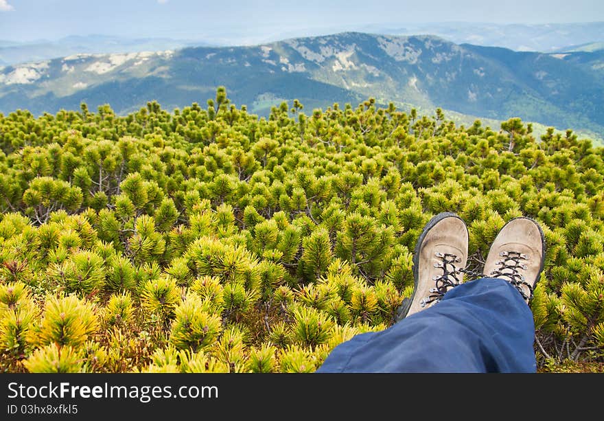 Tourist resting in the bushes low pines on the mountain top