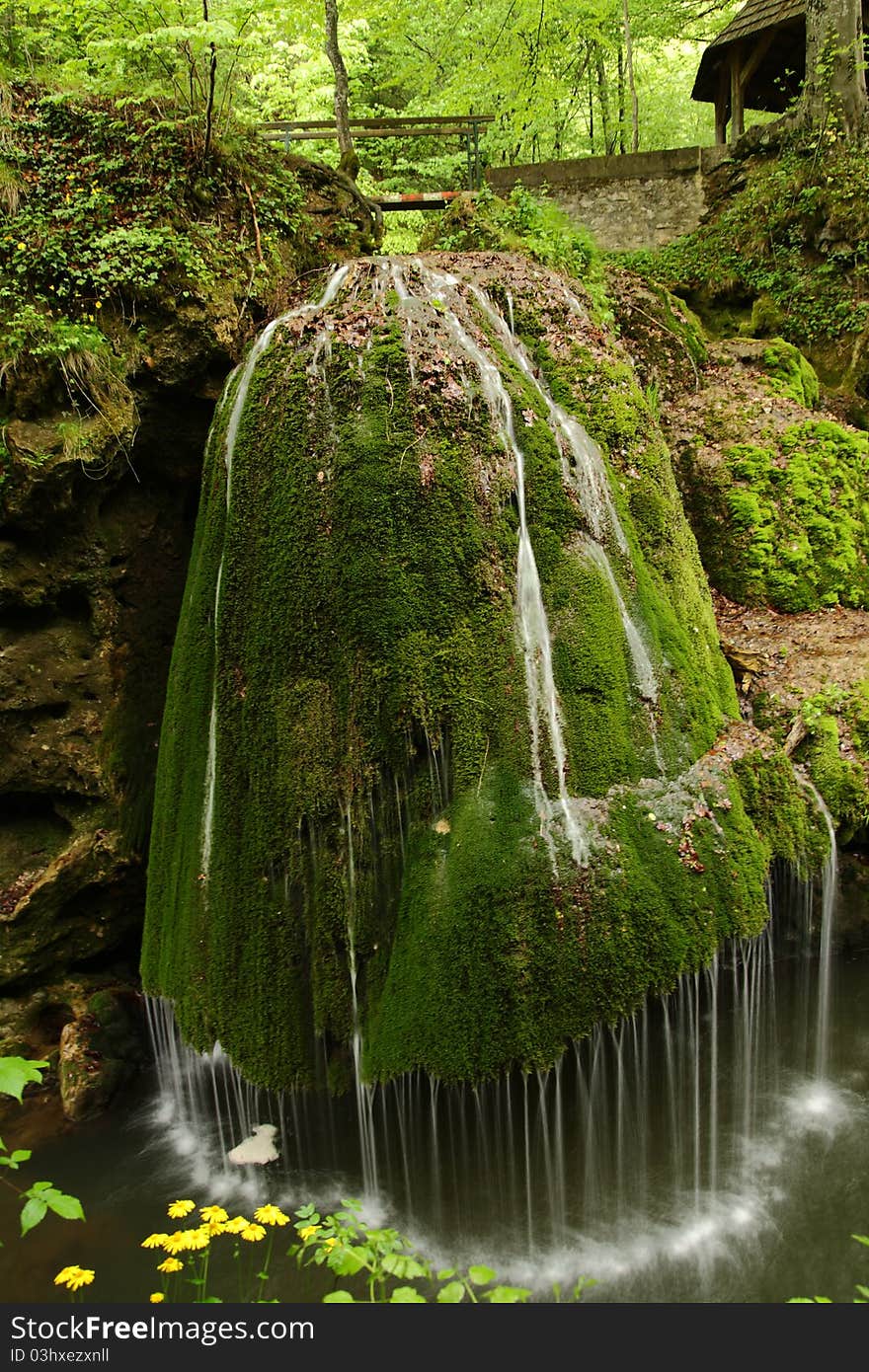 River  in a forest