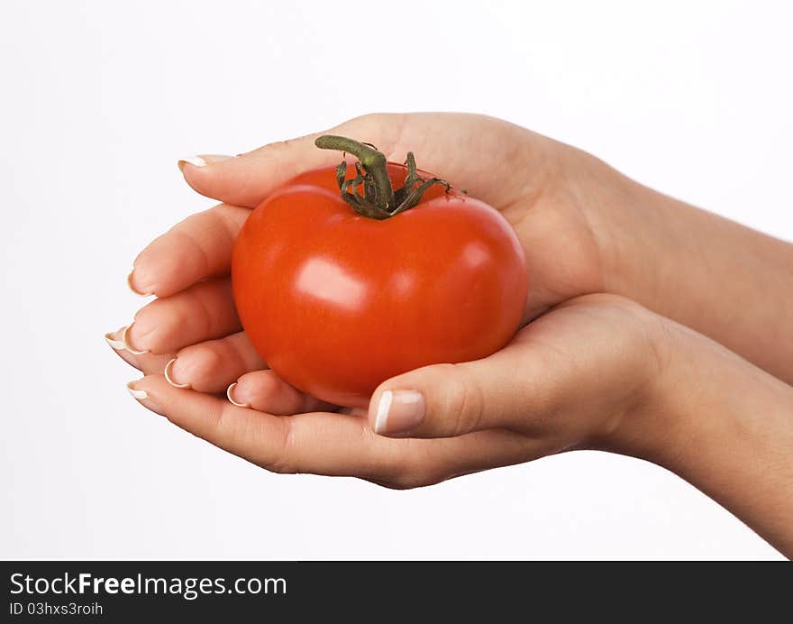 Woman s hands holding a tomato