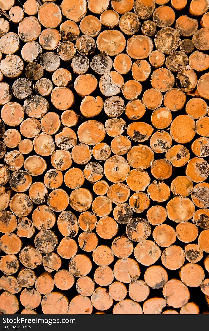 Wooden table in my garden