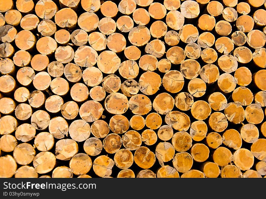 Wooden table in my garden