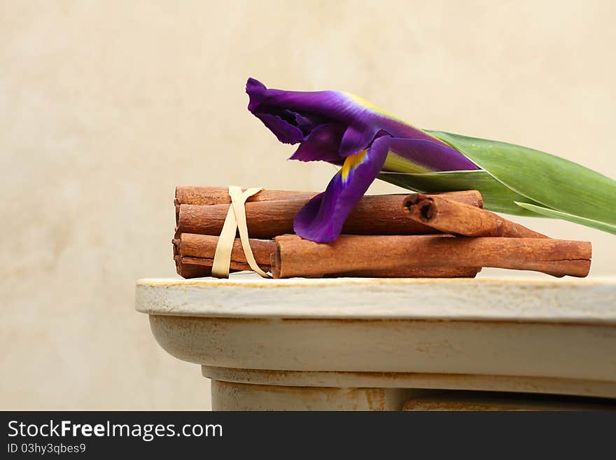 Beautiful vintage background cinnamon spice and flower