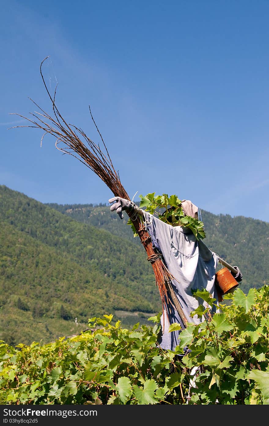 Straw Man guarding a vineyard