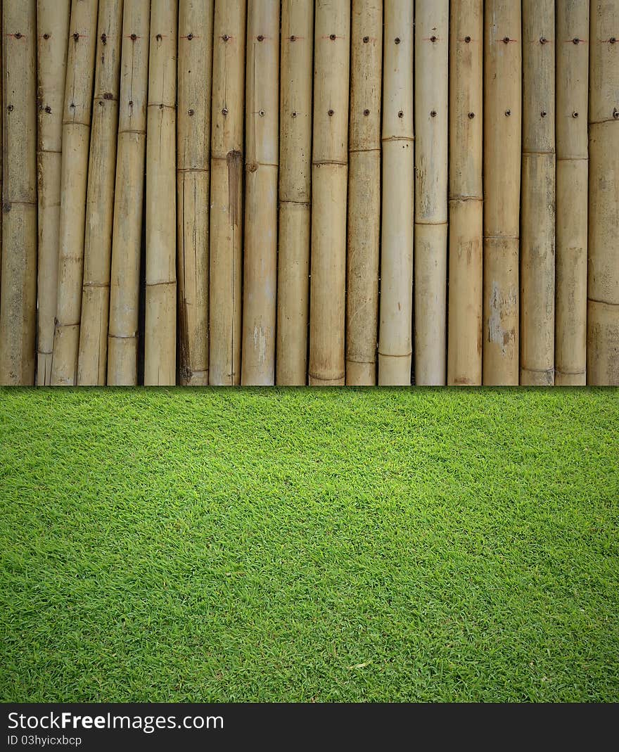 Bamboo And Grass Background