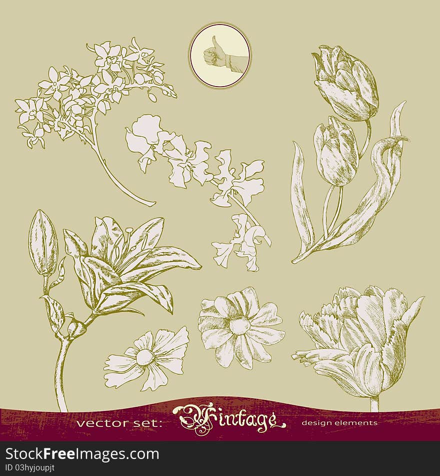 Hand-drawn graphics - a set of decorative flowers. Hand-drawn graphics - a set of decorative flowers