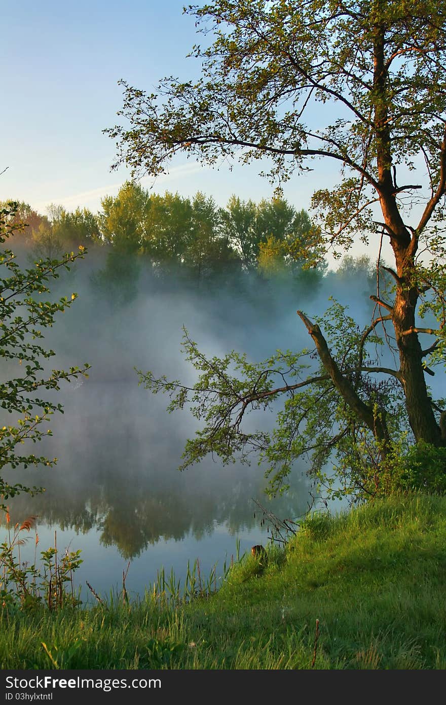 Misty morning on the lake shore