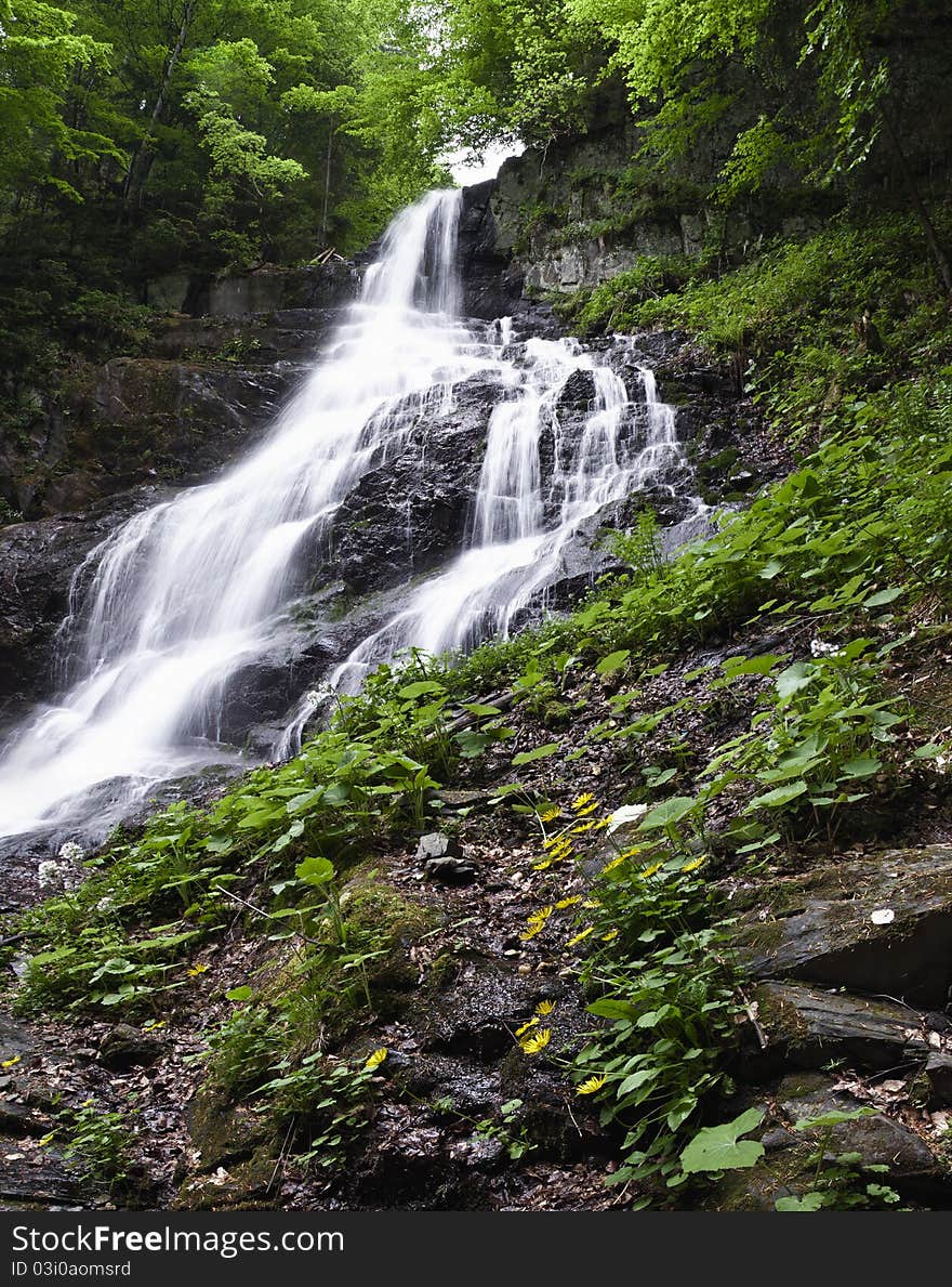 Forest waterfall