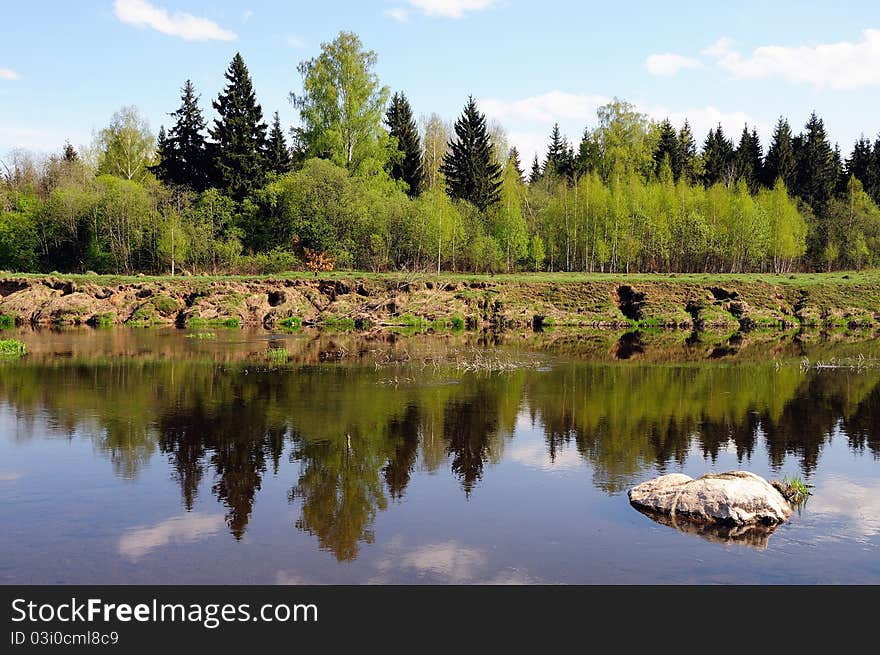 Beautiful Trees Are Reflected In Water