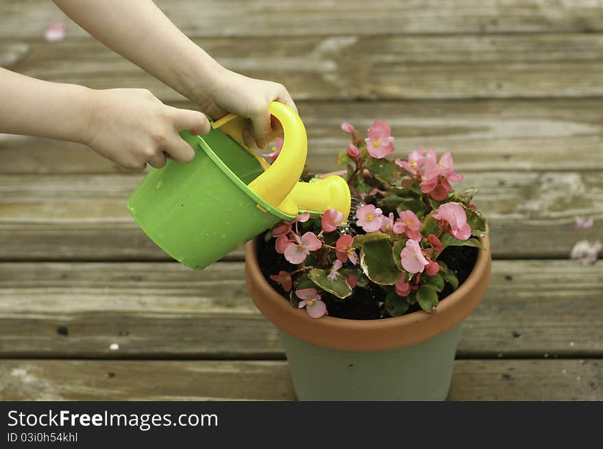 Girl watering potted flowers