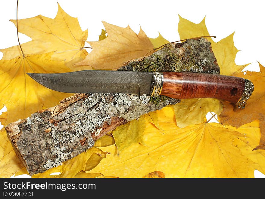 The hunting knife on maple leaves